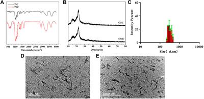 A Modified Hyaluronic Acid–Based Dissolving Microneedle Loaded With Daphnetin Improved the Treatment of Psoriasis